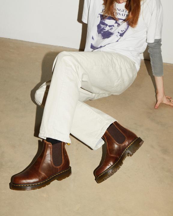 Dr. Martens 2976 Slip Resistant Parker Life Shield Chelsea Boots Marrom Escuro | SN-DM84365
